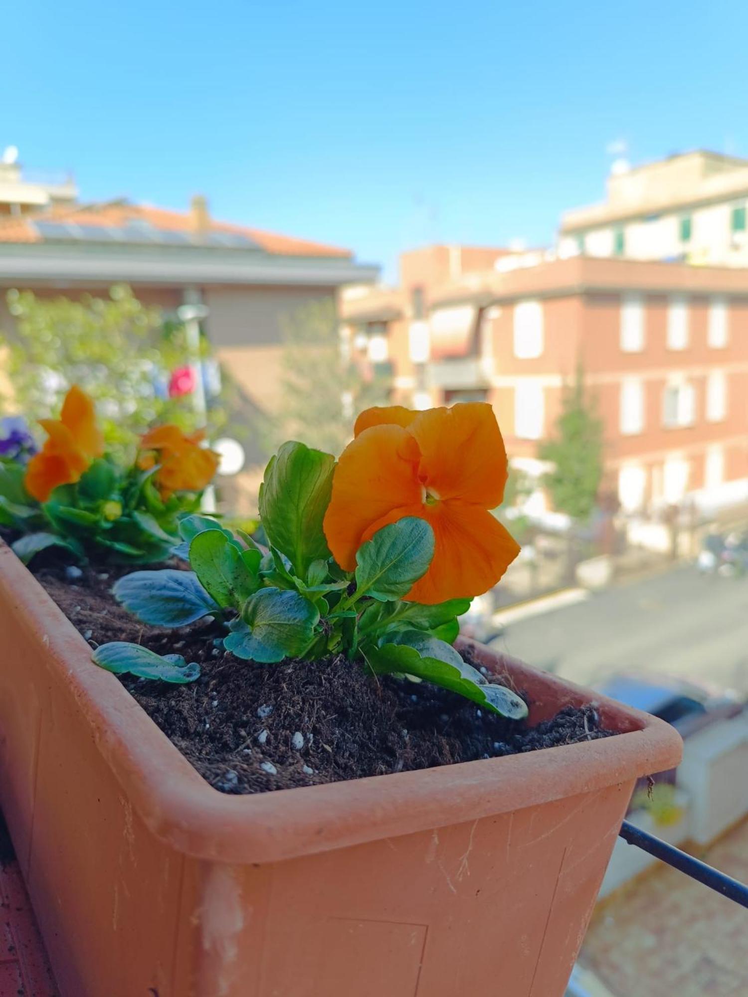 Gemelli Garden House * Rom
